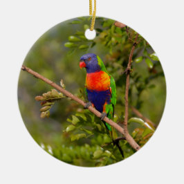 Rainbow lorikeet julgransprydnad keramik