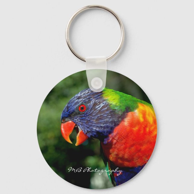 Rainbow Lorikeet Keychain Nyckelring (Framsida)