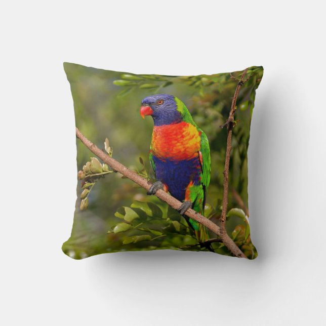 Rainbow Lorikeet Kudde (Framsida)