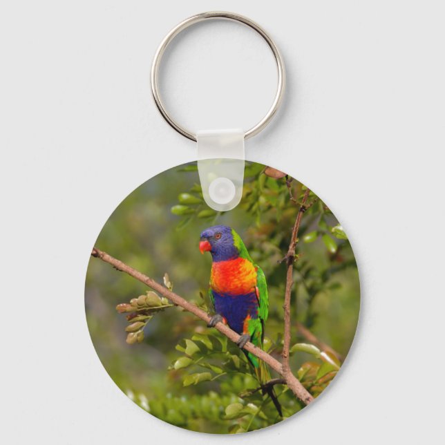 Rainbow lorikeet nyckelring (Framsida)