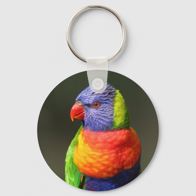 Rainbow Lorikeet Nyckelring (Framsida)