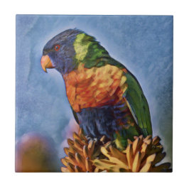 Rainbow Lorikeet Parrot Bird Kakelplatta