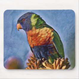 Rainbow Lorikeet Parrot Bird Musmatta