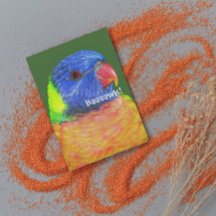 Rainbow Lorikeet Parrot Photo Fars dag Card