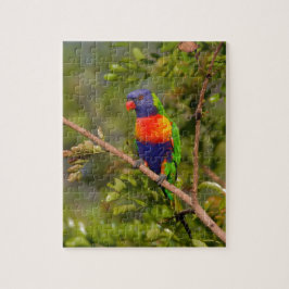 Rainbow lorikeet pussel