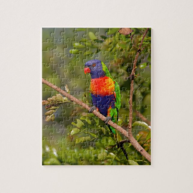 Rainbow lorikeet pussel (Vertikal)