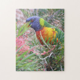 Rainbow Lorikeet Puzzle Pussel