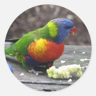 Rainbow Lorikeet Runt Klistermärke