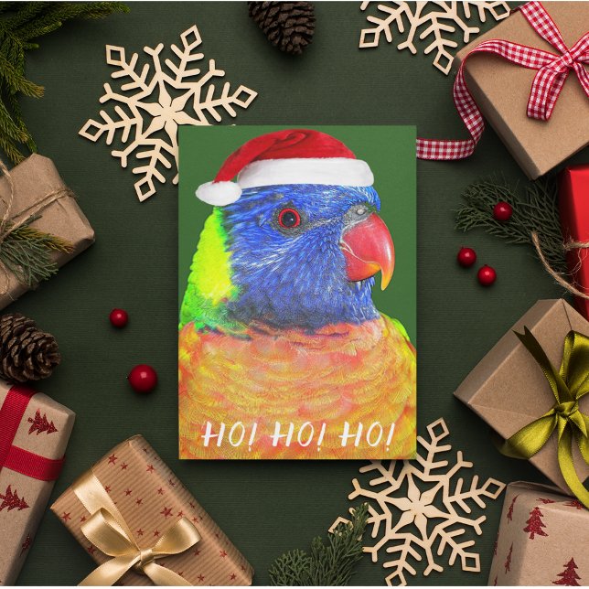 Rainbow Lorikeet Wearing Santa Hat Aussie Helgkort (In Situ)