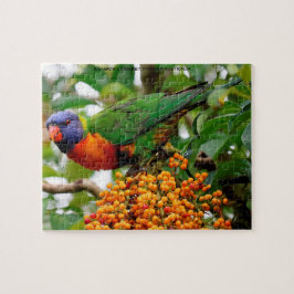 Rainbow Lorikeets Australien Pussel