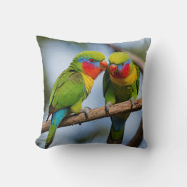Rainbow Lorikeets Kudde