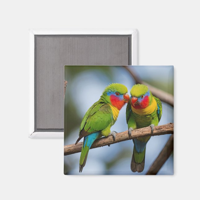 Rainbow Lorikeets Magnet (Front/Back)