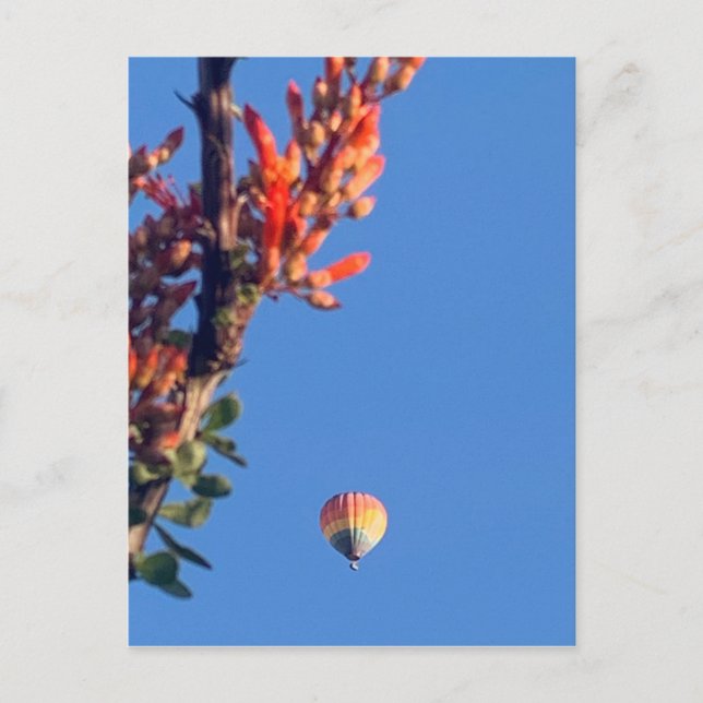 Rainbow Luftballong New mexico Vykort (Framsida)