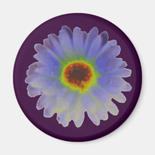 Rainbow Marigold Magnet
