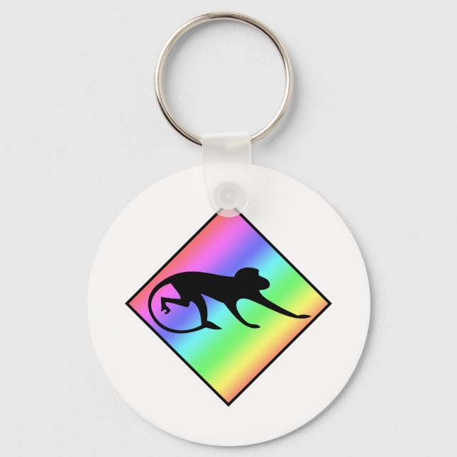 Rainbow Monkey Crossing Nyckelring (Framsida)