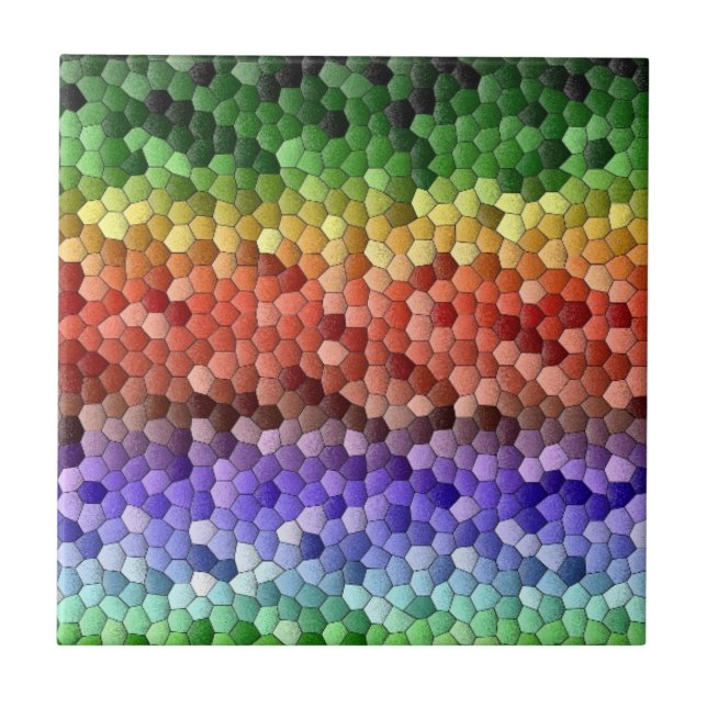 Rainbow Mosaic Kakelplatta (Framsidan)