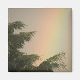 Rainbow och Träd Magnet