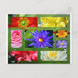 Rainbow of Flowers Photo Collage Vykort