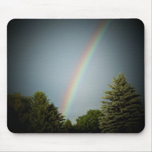 Rainbow över Evergeen Musmatta