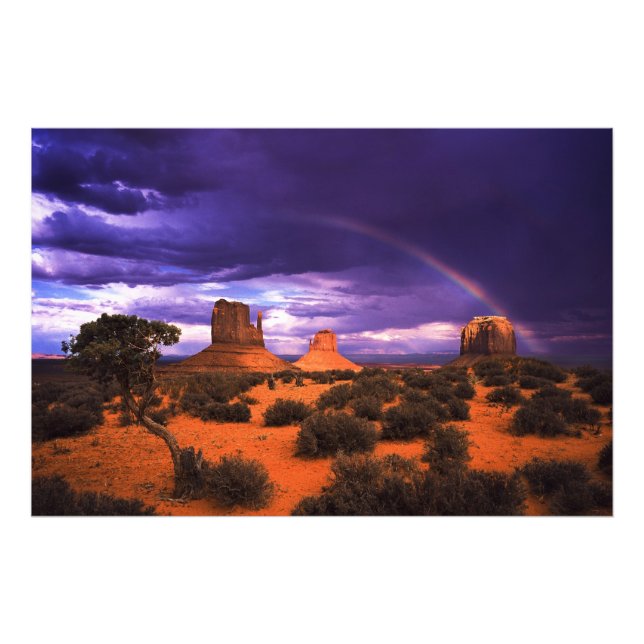Rainbow över Monument Valley Photo Print Fototryck (Framsidan)