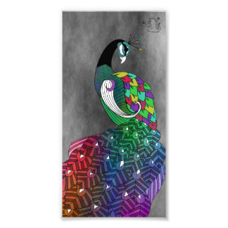 Rainbow Peacock Print Fototryck