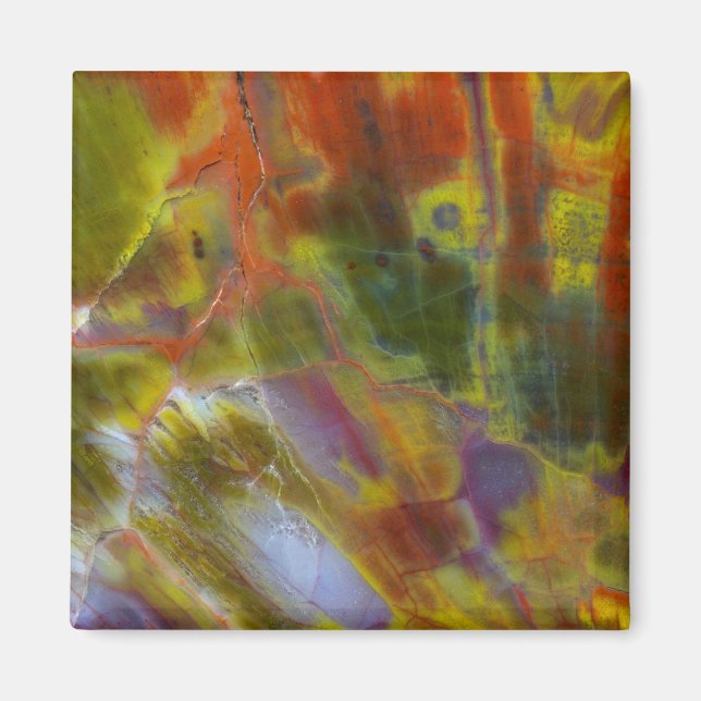 Rainbow Petrified Wood Magnet (Framsidan)