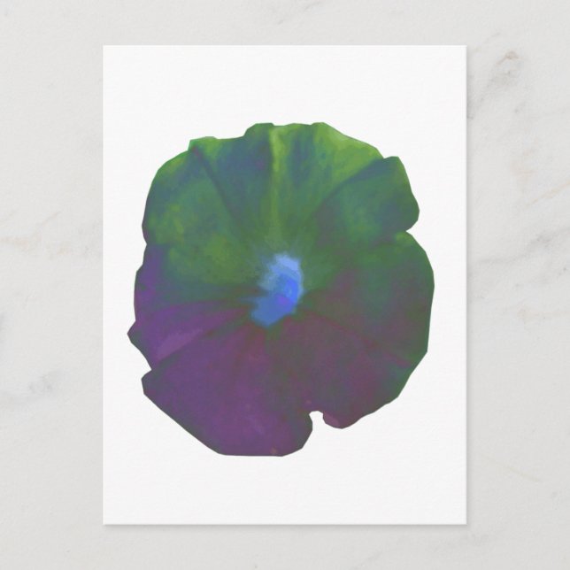 Rainbow Petunia Postcard Vykort (Framsida)