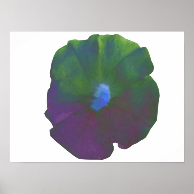 Rainbow Petunia Poster (Framsidan)