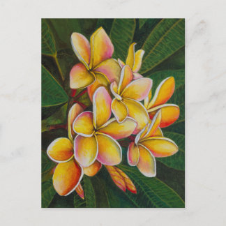 Rainbow Plumeria Vykort