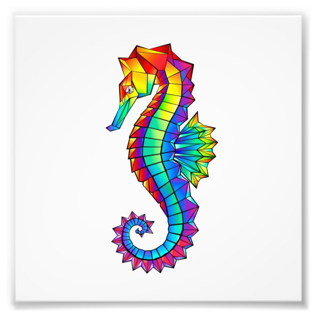 Rainbow Polygonal Seahorse Fototryck (Framsidan)