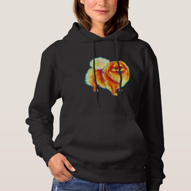 Rainbow Pommern T Shirt (Framsida)