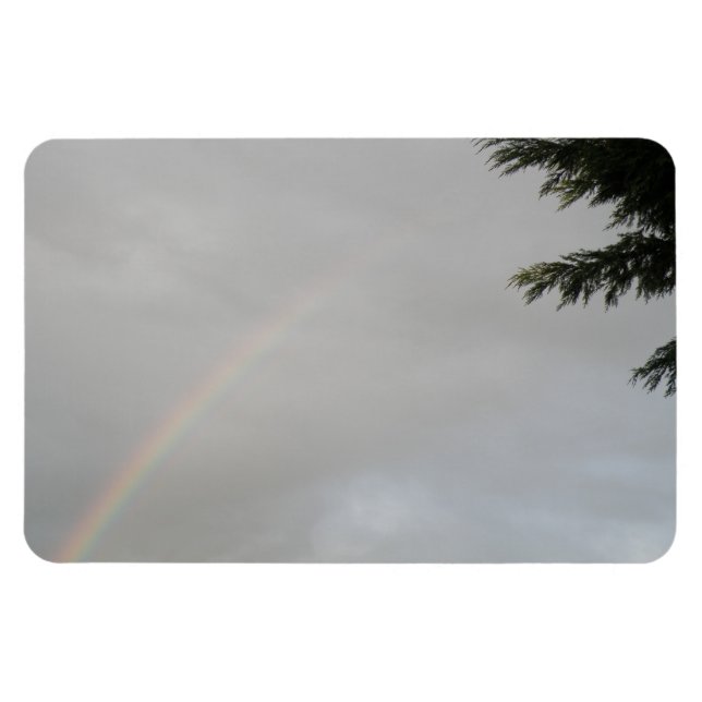 Rainbow Premium Magnet (Horisontell)