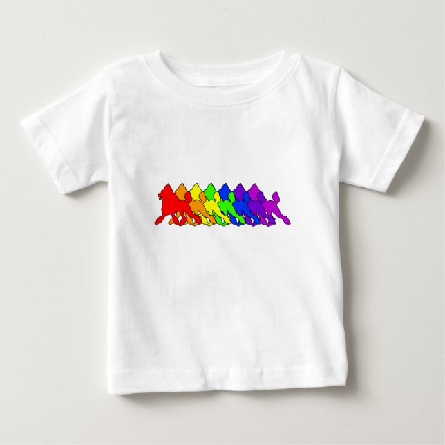 Rainbow Pudel Tee Shirt (Framsida)