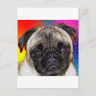 Rainbow Pug Vykort