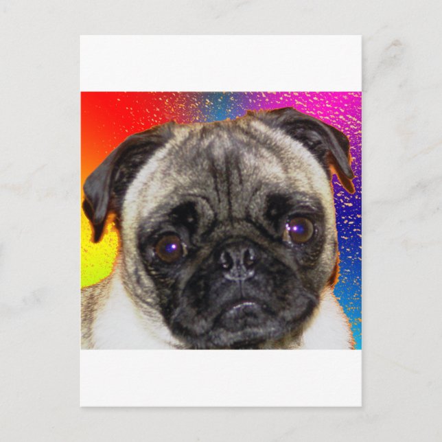 Rainbow Pug Vykort (Framsida)