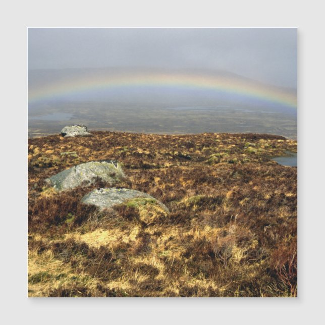 Rainbow Rannoch Moor Postcard Poster (Framsida)