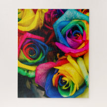 Rainbow Ro Challenge Puzzle 16 tum x 20 tum