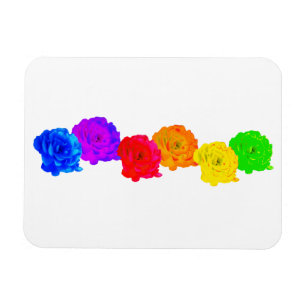 Rainbow Ro Magnet