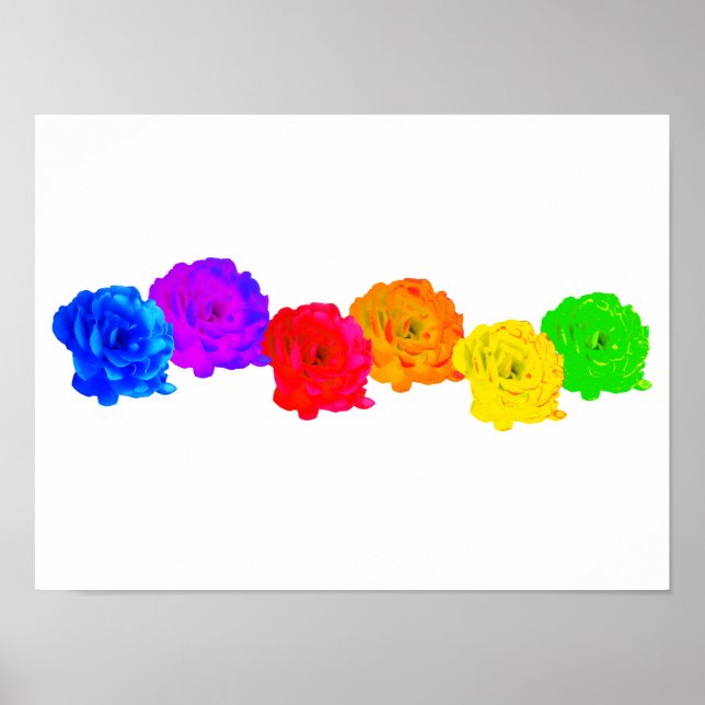 Rainbow Ro Poster (Framsidan)