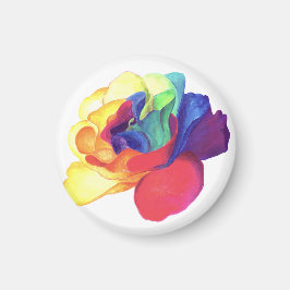 Rainbow Ro spektrum i Kärlek Magnet