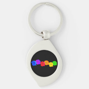 Rainbow Ro Swirl Silverfärgad Nyckelring