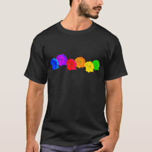 Rainbow Ro T Shirt