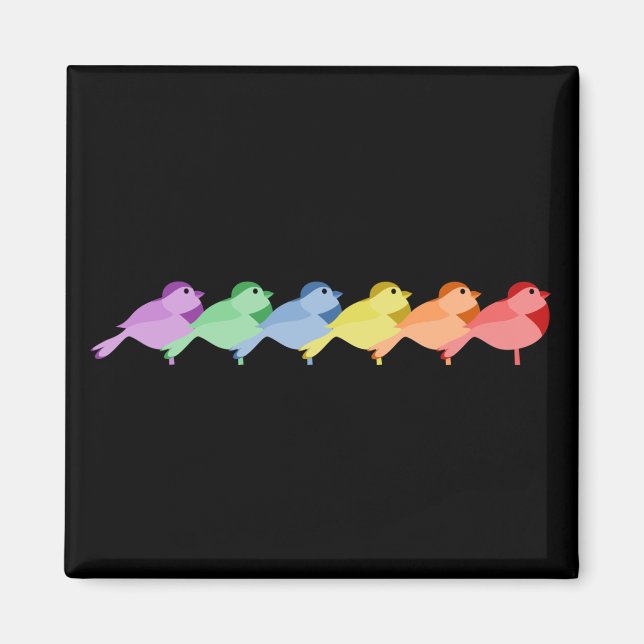 Rainbow Robins Magnet (Framsidan)