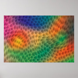 Rainbow Scales poster