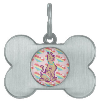 Rainbow Scooby-Doo Namnbricka Husdjur