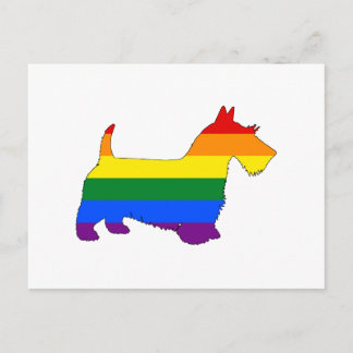 Rainbow Scottish Terrier Vykort