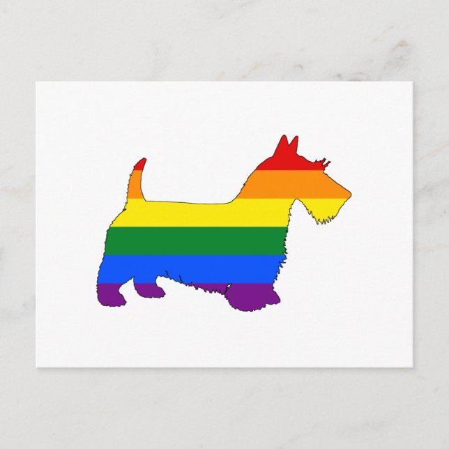Rainbow Scottish Terrier Vykort (Framsida)