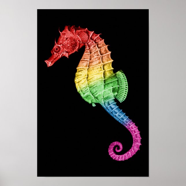 Rainbow Seahorse Poster (Framsidan)