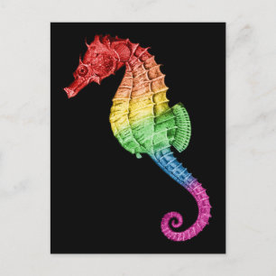 Rainbow Seahorse Vykort
