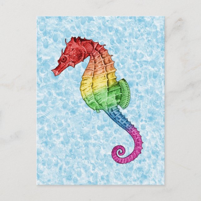 Rainbow Seahorse Vykort (Framsida)